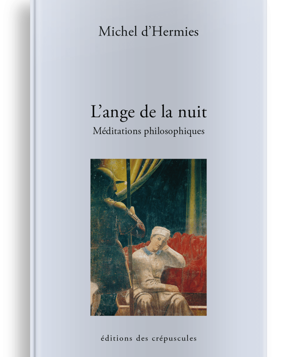 Livre Art L’ange de la nuit Méditations philosophiques, Michel d'Hermies