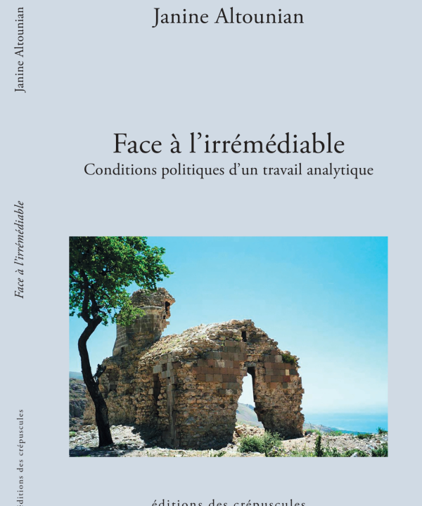 Face à l'irrémédiable. Conditions politiques d'un travail analytique